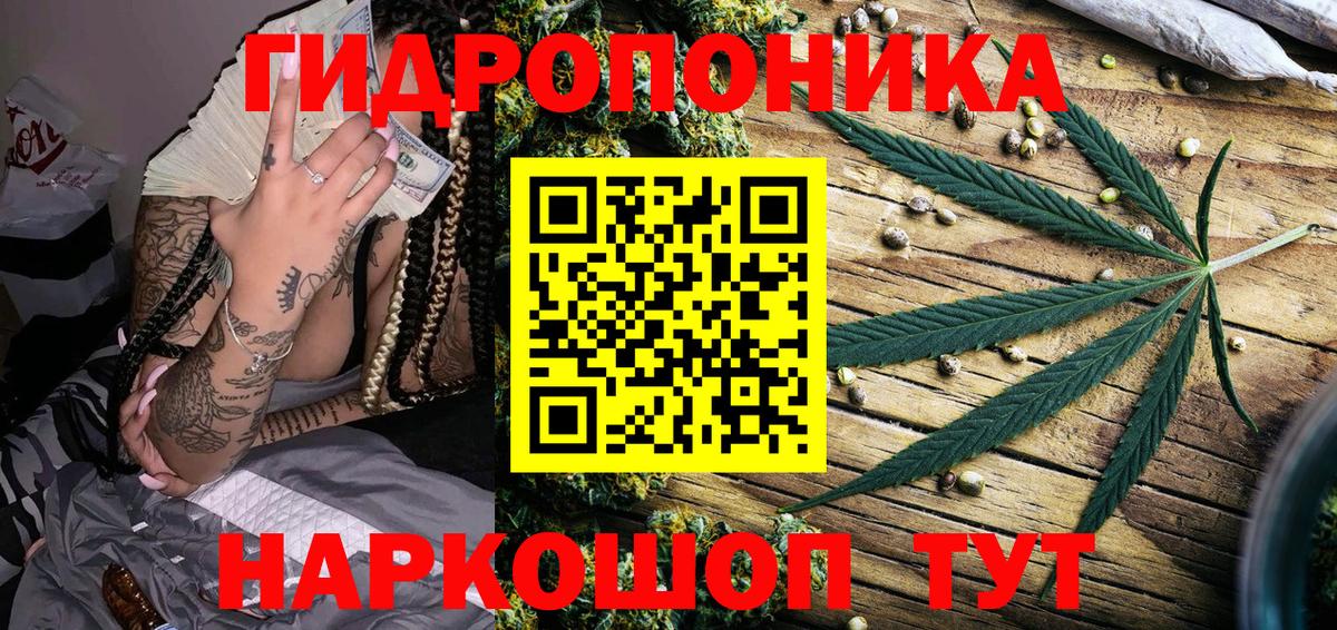 МАРИХУАНА план Будённовск